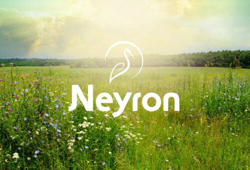 Réalisation du logotype de la commune de Neyron située dans l'Ain