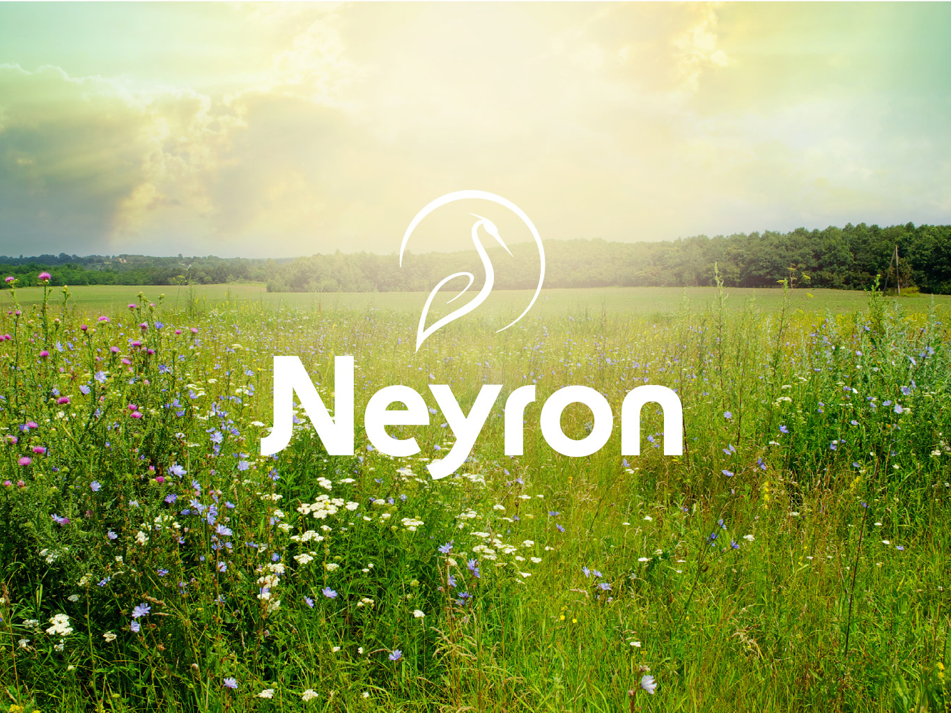 Réalisation du logotype de la commune de Neyron située dans l'Ain